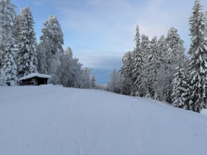 Vinterlandskap uppe vid skidbacken