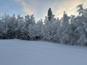 Vinterlandskap uppe vid skidbacken