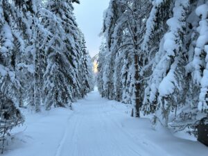 Vinterlandskap snöskoterspår mot Los kyrka