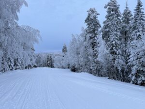 Vinterlandskap, från skidbacken till Lokatten